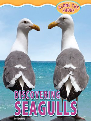 cover image of Discovering Seagulls